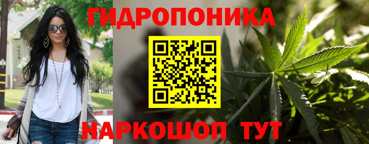 Конопля MAZAR Гудермес